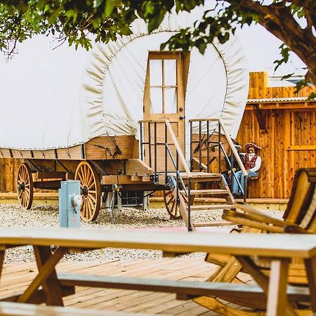 The Big Texan - Cabins And Wagons أماريلو المظهر الخارجي الصورة